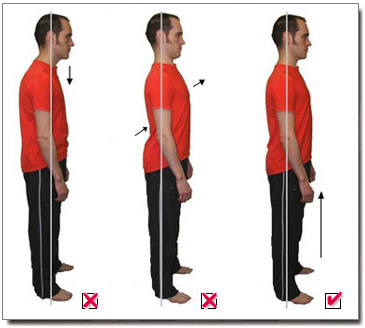 http://www.nccpt.com/articles/posture.pdf